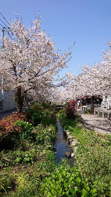 f:id:jabsport17:20190411113726j:image f:id:jabsport17:20190411113726j:image
