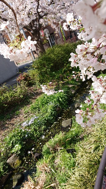 f:id:jabsport17:20190411113755j:image f:id:jabsport17:20190411113755j:image