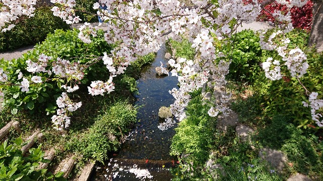 f:id:jabsport17:20190411113815j:image f:id:jabsport17:20190411113815j:image