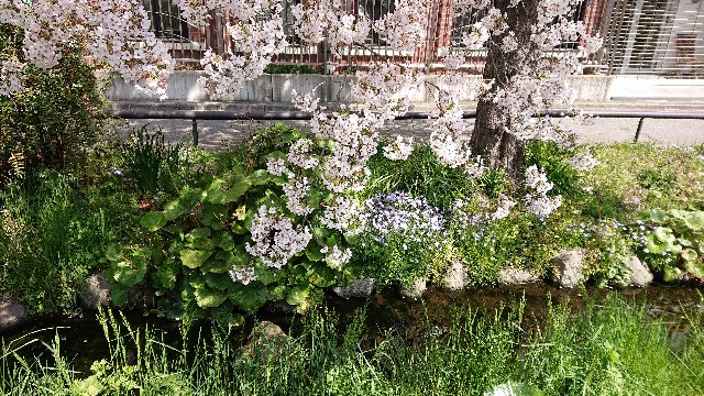 f:id:jabsport17:20190411113839j:image f:id:jabsport17:20190411113839j:image
