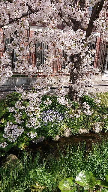 f:id:jabsport17:20190411113902j:image f:id:jabsport17:20190411113902j:image