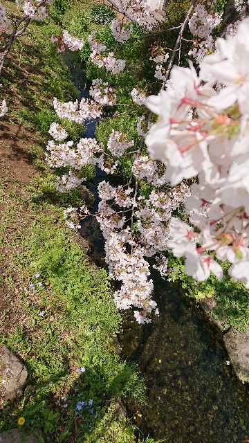 f:id:jabsport17:20190411114023j:image f:id:jabsport17:20190411114023j:image