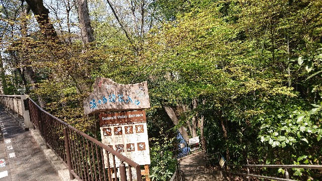 f:id:jabsport17:20190411114113j:image f:id:jabsport17:20190411114113j:image
