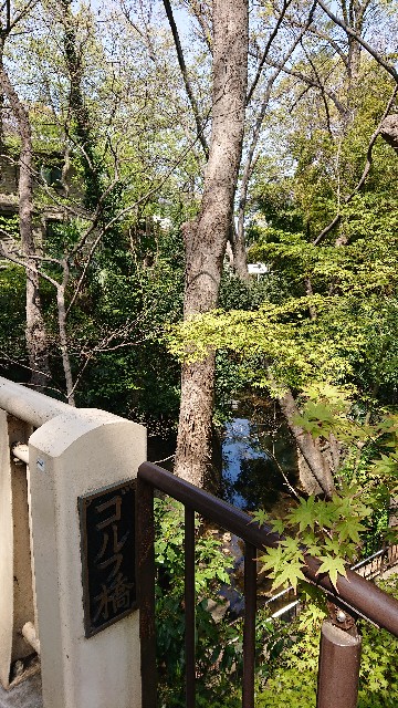 f:id:jabsport17:20190411114137j:image f:id:jabsport17:20190411114137j:image