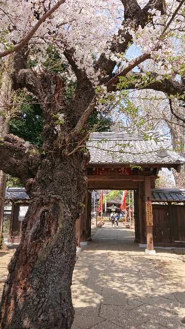 f:id:jabsport17:20190411114350j:image f:id:jabsport17:20190411114350j:image