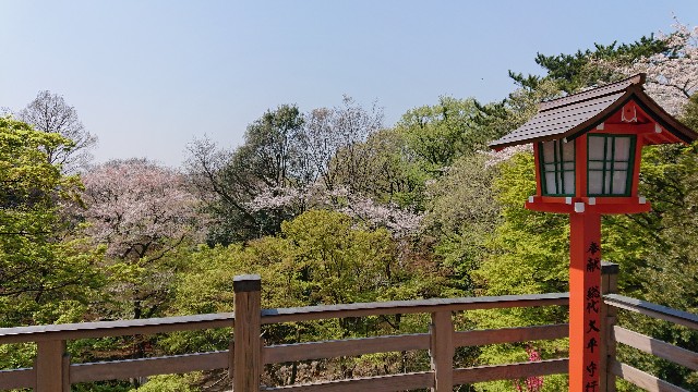 f:id:jabsport17:20190411114435j:image f:id:jabsport17:20190411114435j:image