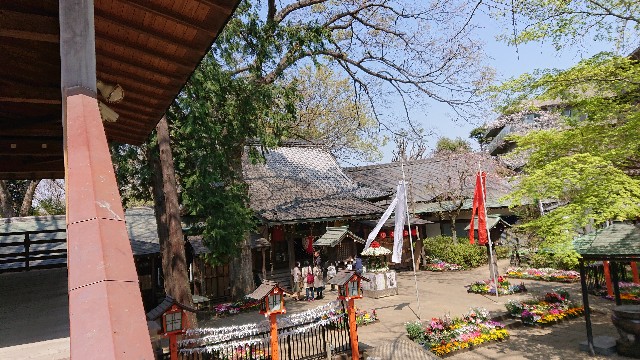 f:id:jabsport17:20190411114457j:image f:id:jabsport17:20190411114457j:image