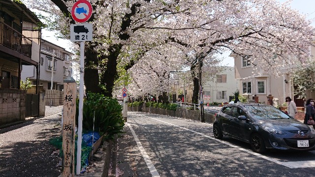 f:id:jabsport17:20190411120139j:image f:id:jabsport17:20190411120139j:image