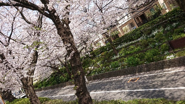 f:id:jabsport17:20190411120218j:image f:id:jabsport17:20190411120218j:image