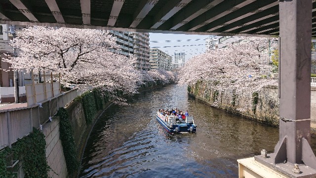 f:id:jabsport17:20190411120330j:image f:id:jabsport17:20190411120330j:image