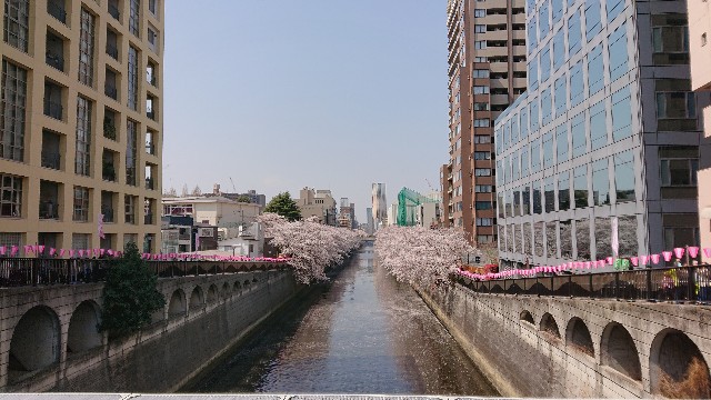f:id:jabsport17:20190411120350j:image f:id:jabsport17:20190411120350j:image