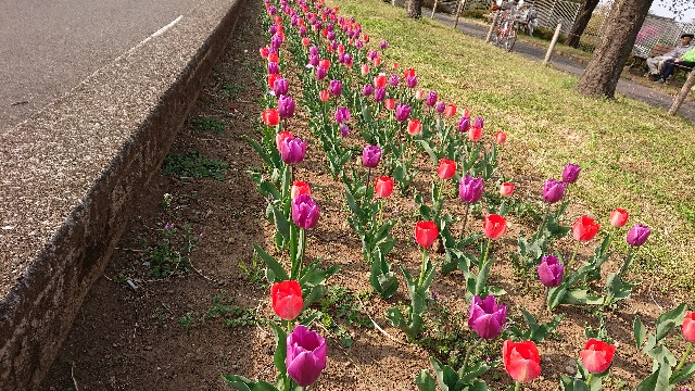f:id:jabsport17:20190411120627j:image f:id:jabsport17:20190411120627j:image