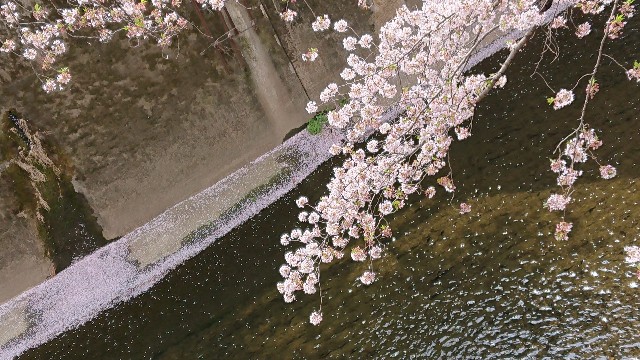 f:id:jabsport17:20190411121000j:image f:id:jabsport17:20190411121000j:image