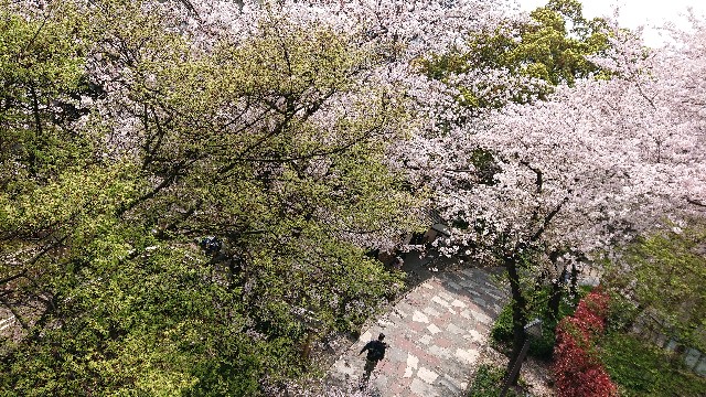 f:id:jabsport17:20190411121407j:image f:id:jabsport17:20190411121407j:image