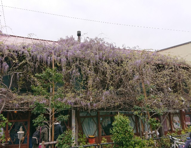 f:id:jabsport17:20190415155003j:image f:id:jabsport17:20190415155003j:image