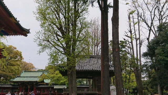 f:id:jabsport17:20190415155131j:image f:id:jabsport17:20190415155131j:image