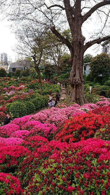 f:id:jabsport17:20190415155715j:image f:id:jabsport17:20190415155715j:image