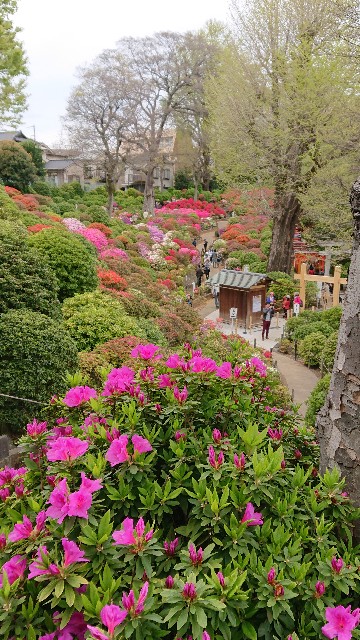 f:id:jabsport17:20190415155948j:image f:id:jabsport17:20190415155948j:image