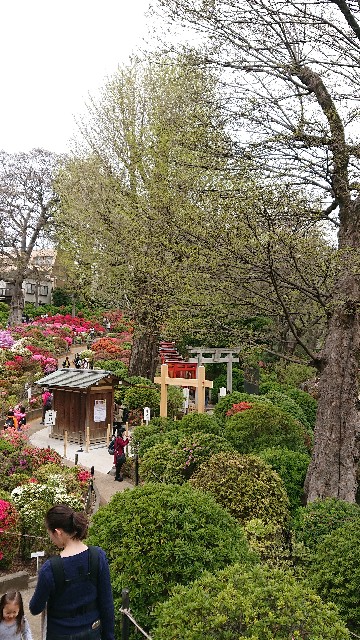 f:id:jabsport17:20190415160005j:image f:id:jabsport17:20190415160005j:image