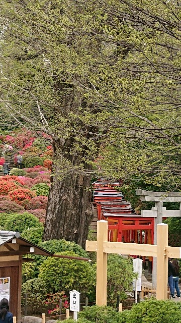 f:id:jabsport17:20190415160022j:image f:id:jabsport17:20190415160022j:image