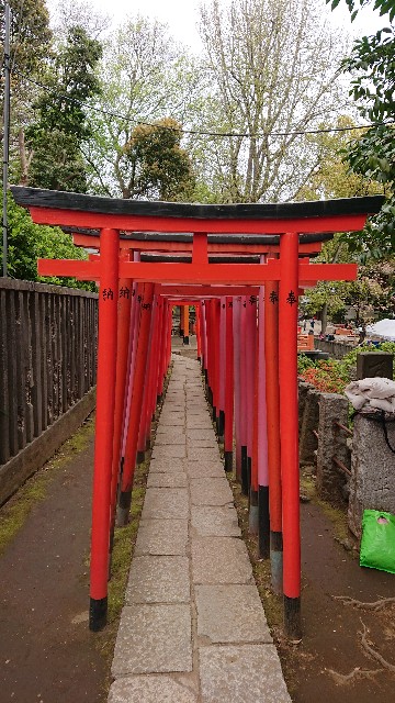 f:id:jabsport17:20190415160128j:image f:id:jabsport17:20190415160128j:image