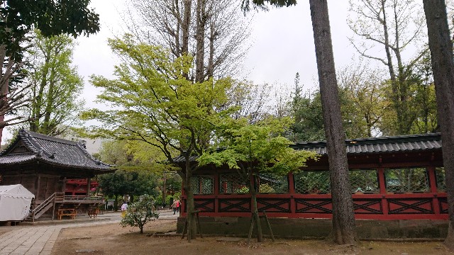 f:id:jabsport17:20190415160335j:image f:id:jabsport17:20190415160335j:image