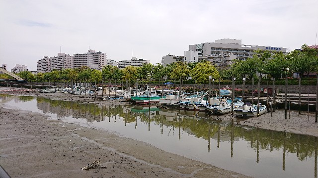 f:id:jabsport17:20190503235946j:image f:id:jabsport17:20190503235946j:image