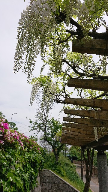 f:id:jabsport17:20190504000620j:image f:id:jabsport17:20190504000620j:image