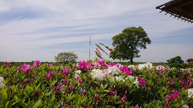 f:id:jabsport17:20190504000852j:image f:id:jabsport17:20190504000852j:image