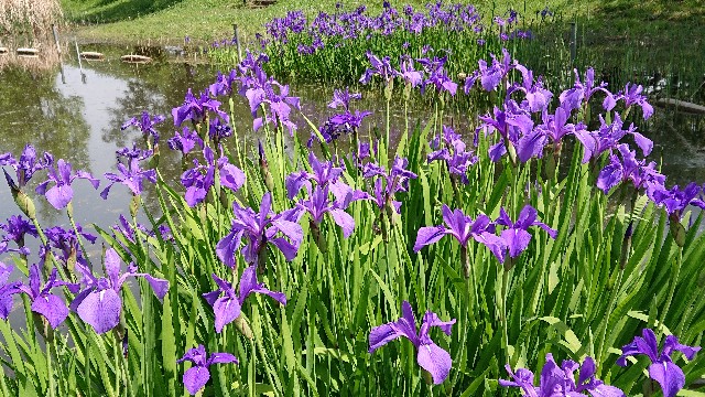 f:id:jabsport17:20190504000925j:image f:id:jabsport17:20190504000925j:image