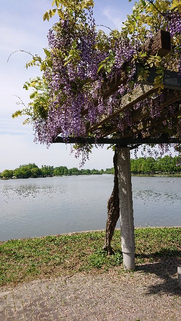 f:id:jabsport17:20190504000944j:image f:id:jabsport17:20190504000944j:image