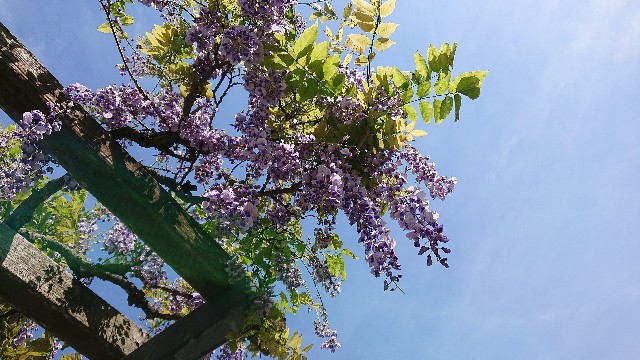f:id:jabsport17:20190504000956j:image f:id:jabsport17:20190504000956j:image
