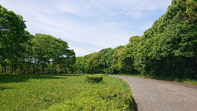 f:id:jabsport17:20190504001020j:image f:id:jabsport17:20190504001020j:image