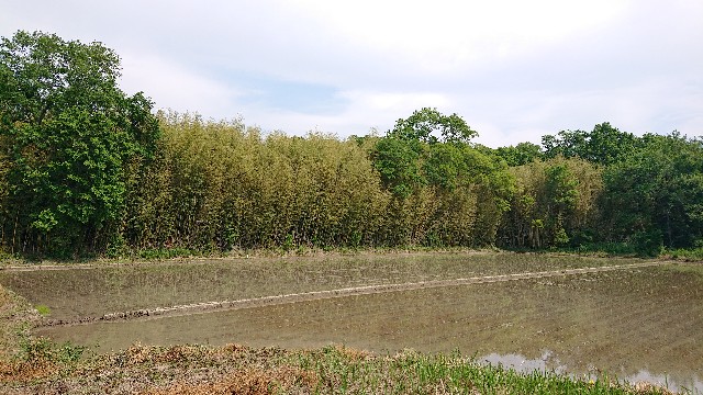 f:id:jabsport17:20190514093116j:image f:id:jabsport17:20190514093116j:image