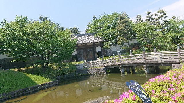 f:id:jabsport17:20190514093721j:image f:id:jabsport17:20190514093721j:image