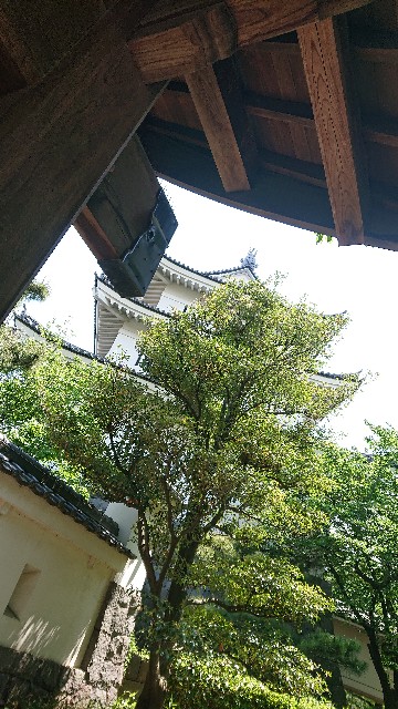 f:id:jabsport17:20190514094031j:image f:id:jabsport17:20190514094031j:image