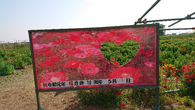 f:id:jabsport17:20190514173250j:image f:id:jabsport17:20190514173250j:image