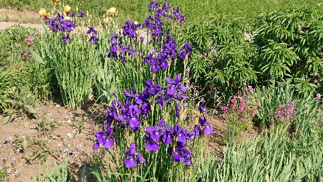 f:id:jabsport17:20190514173327j:image f:id:jabsport17:20190514173327j:image