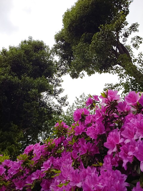 f:id:jabsport17:20190520231107j:image f:id:jabsport17:20190520231107j:image
