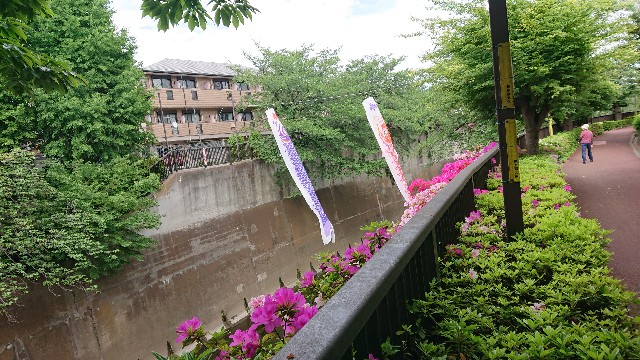 f:id:jabsport17:20190520231952j:image f:id:jabsport17:20190520231952j:image