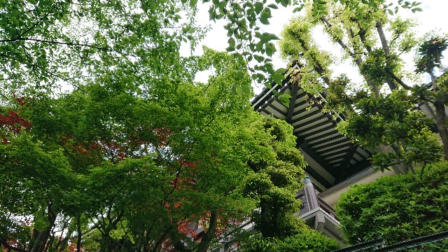 f:id:jabsport17:20190520232012j:image f:id:jabsport17:20190520232012j:image