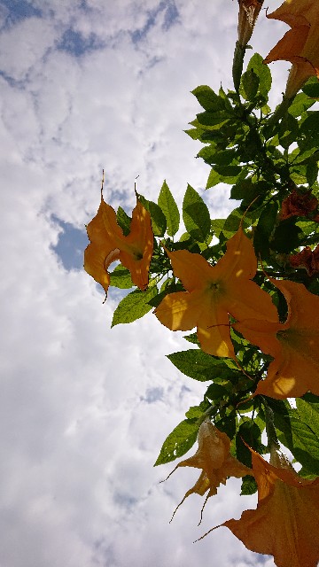 f:id:jabsport17:20190522163506j:image f:id:jabsport17:20190522163506j:image