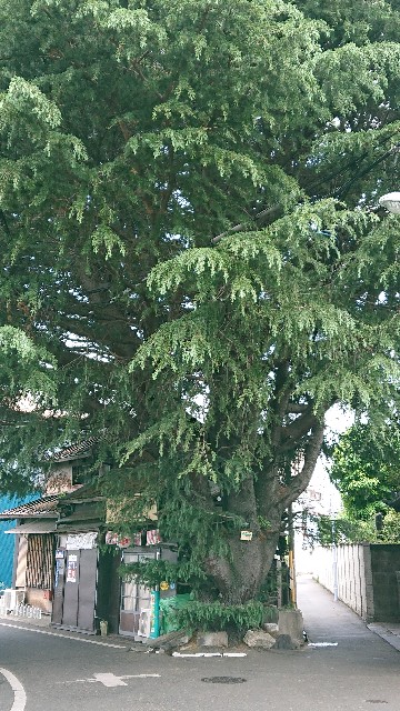 f:id:jabsport17:20190522163751j:image f:id:jabsport17:20190522163751j:image