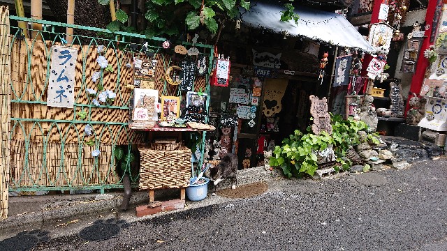 f:id:jabsport17:20190522163831j:image f:id:jabsport17:20190522163831j:image