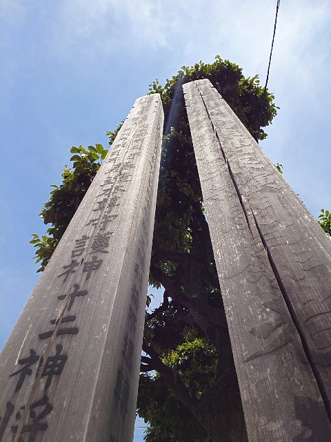 f:id:jabsport17:20190526231440j:image f:id:jabsport17:20190526231440j:image