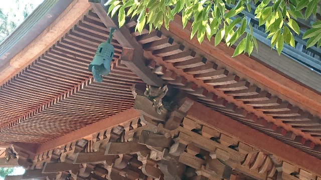 f:id:jabsport17:20190529212832j:image f:id:jabsport17:20190529212832j:image