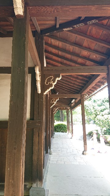 f:id:jabsport17:20190529213410j:image f:id:jabsport17:20190529213410j:image