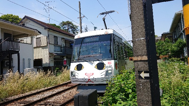 f:id:jabsport17:20190529213501j:image f:id:jabsport17:20190529213501j:image