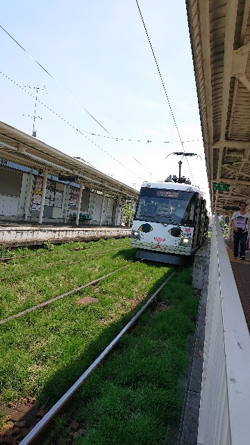 f:id:jabsport17:20190529214212j:image f:id:jabsport17:20190529214212j:image