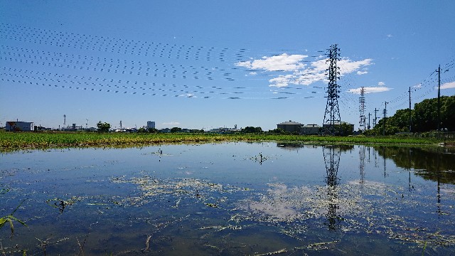 f:id:jabsport17:20190617153956j:image f:id:jabsport17:20190617153956j:image